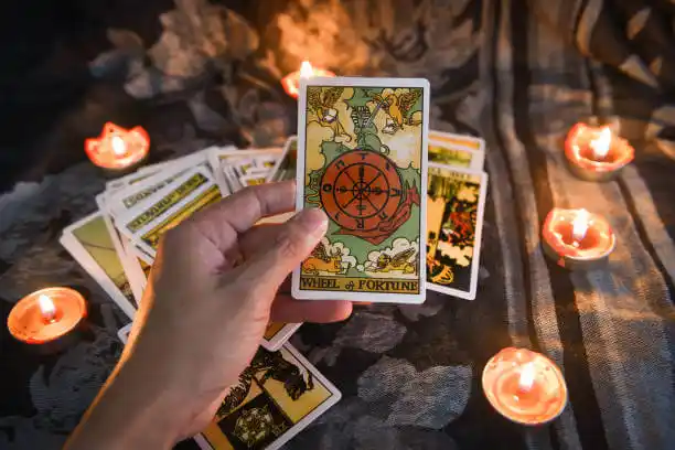 tarot cards Blaine